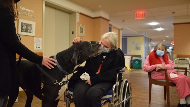 pet-therapy-program-working-dog-registry