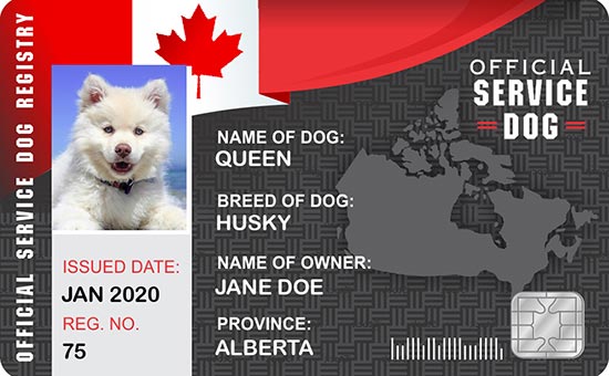 international working dog registry
