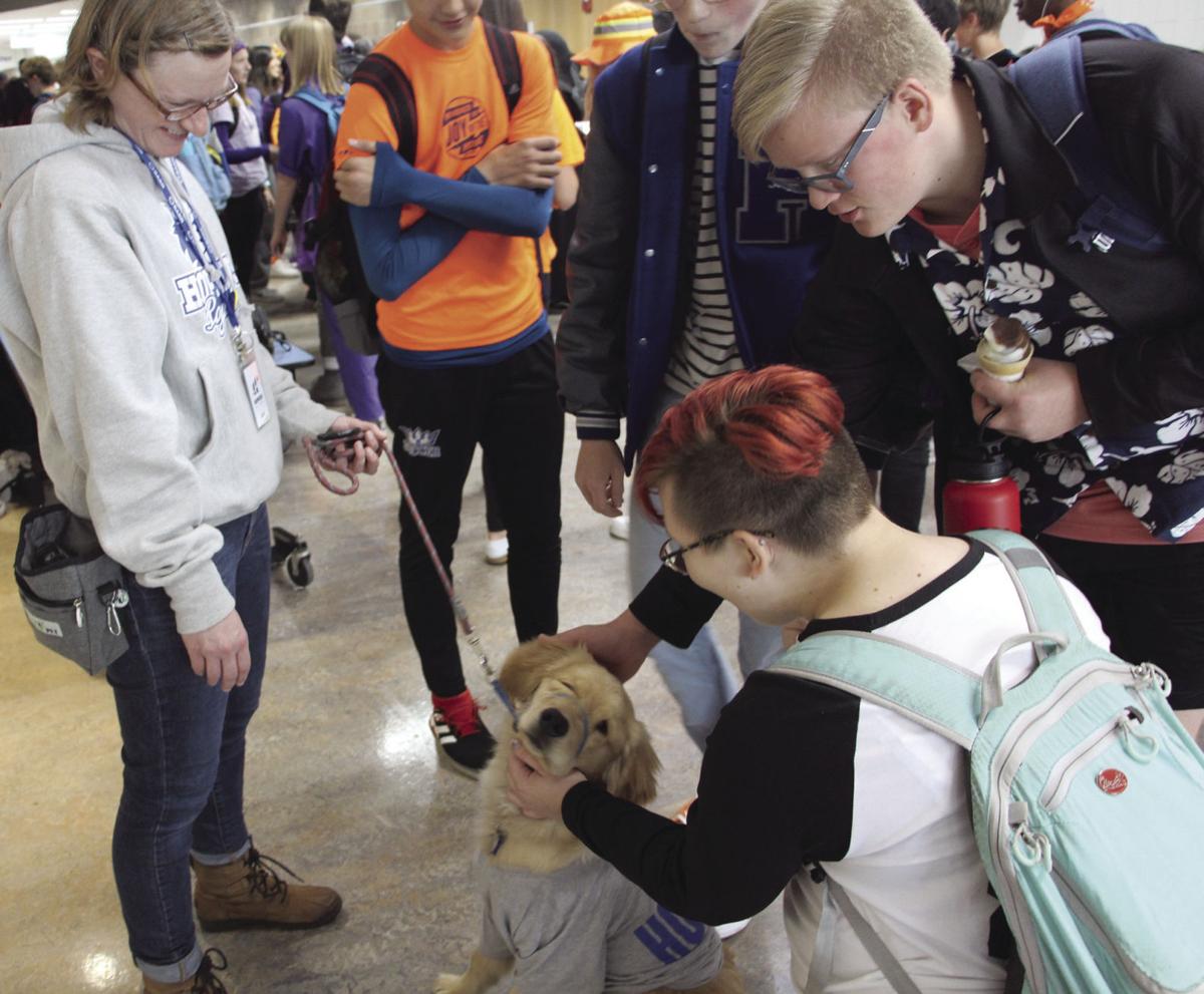 Schools therapy dog program helps students - Working Dog Registry