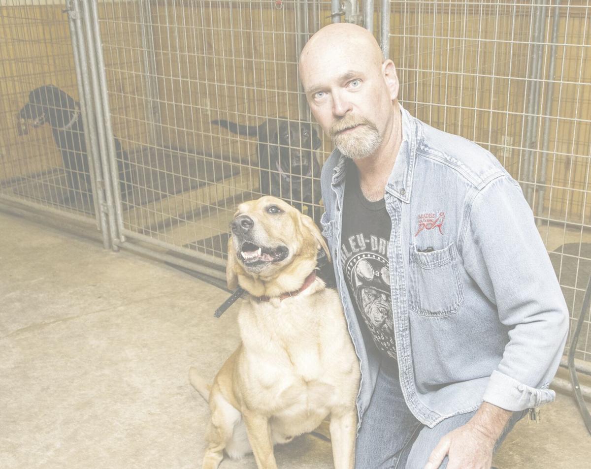 Dog Trainer Services - Working Dog Registry