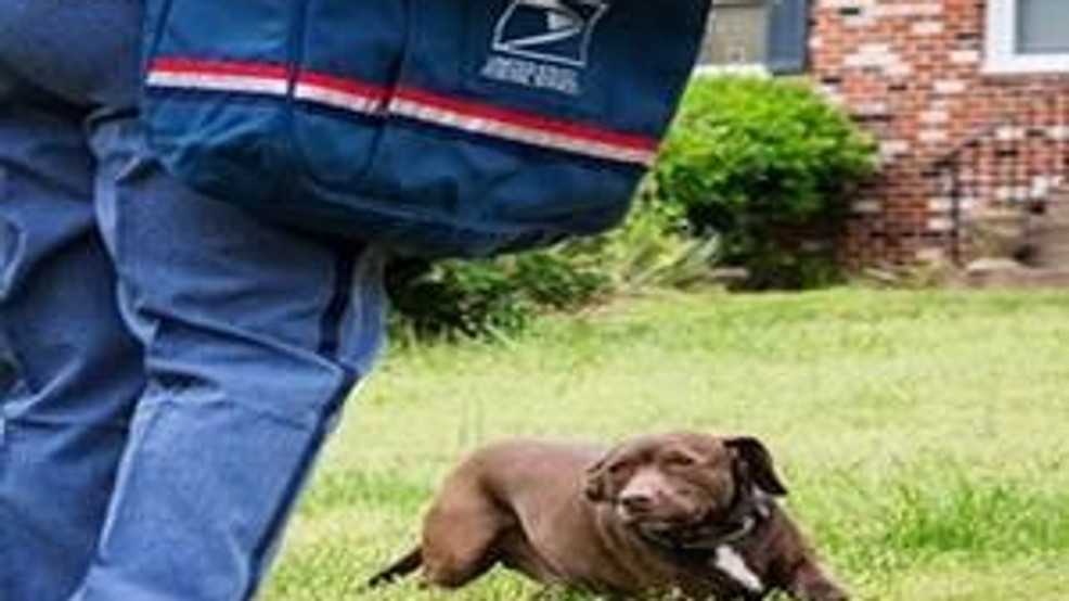 protecting-usps-workers-working-dog-registry