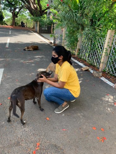 Feeding The Street Dogs | WORKING DOG REGISTRY