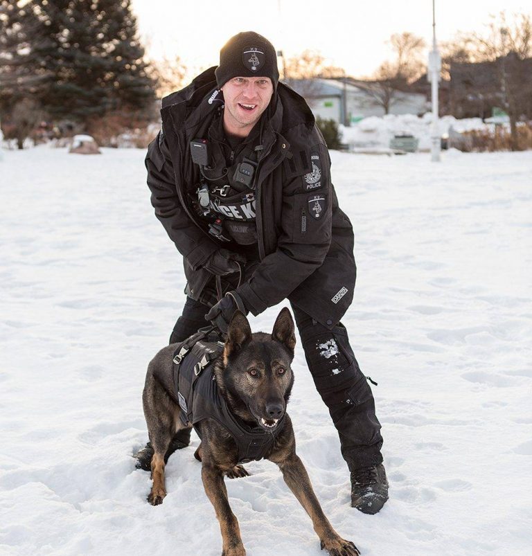 K9 unit tracks, arrests Barrie man in swamp following residential break