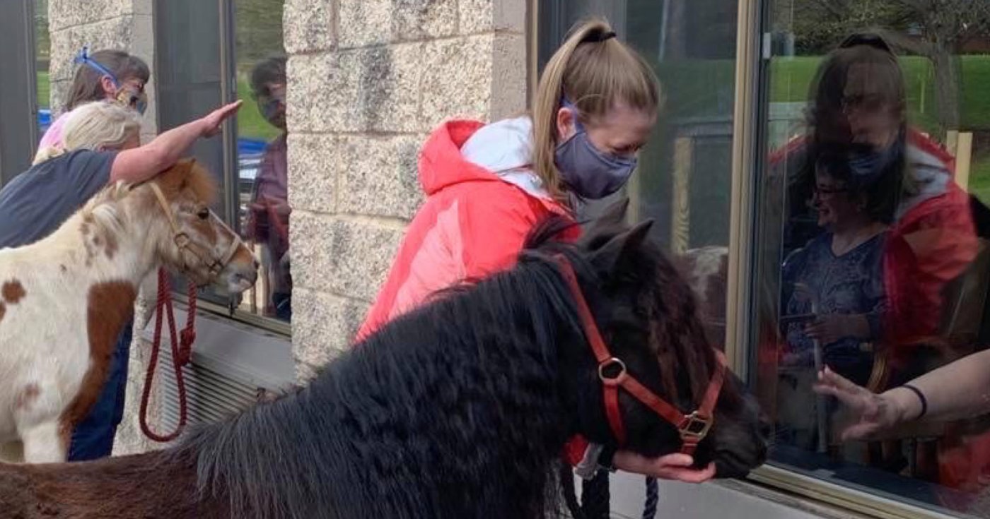 Nursing Homes Activities WORKING DOG REGISTRY