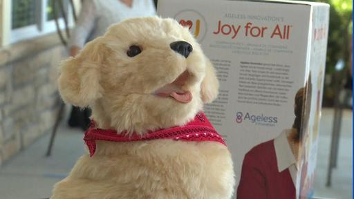 soft toy dog for dementia patients