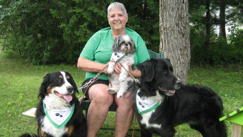 Pet Therapy Movement - Working Dog Registry