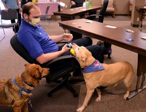 therapy dog registry
