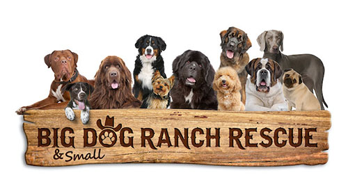 Dog Ranch Rescue - Working Dog Registry