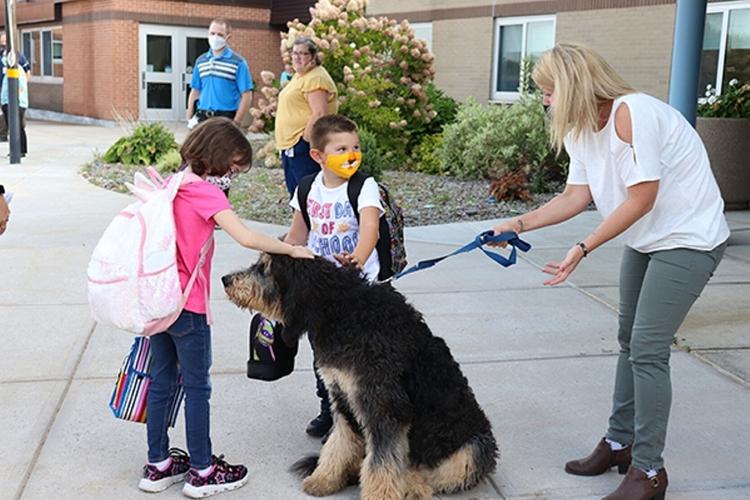Therapy Dogs In Schools WORKING DOG REGISTRY