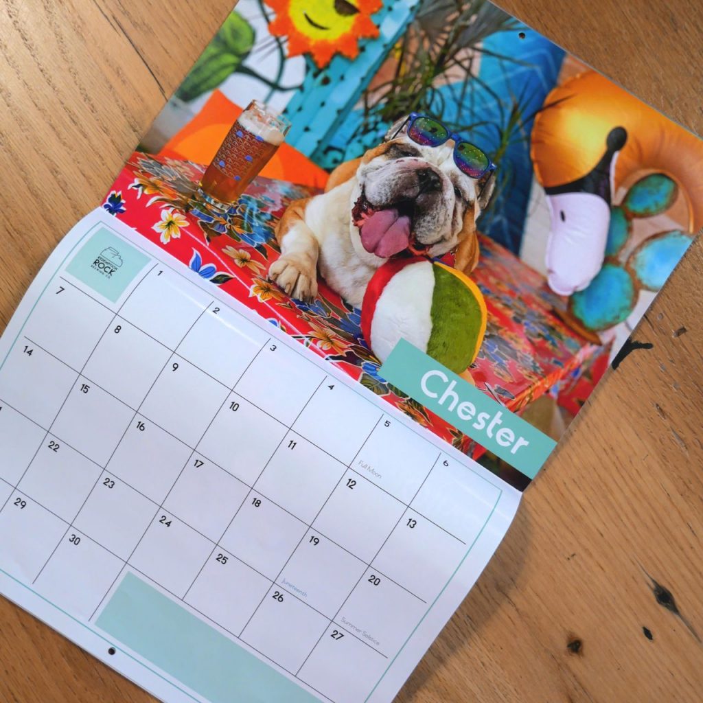 Dog Calendar Competition 