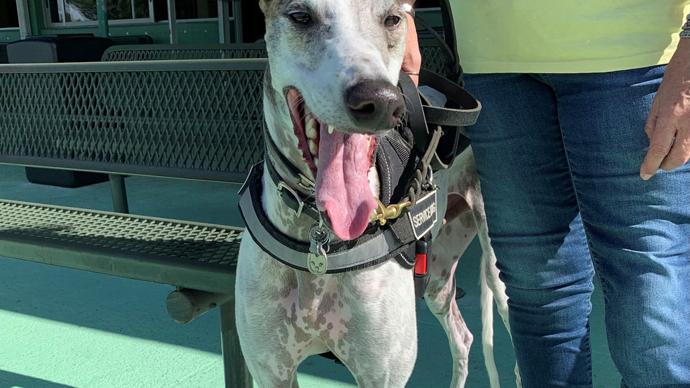 Palm Beach Kennel Club WORKING DOG REGISTRY