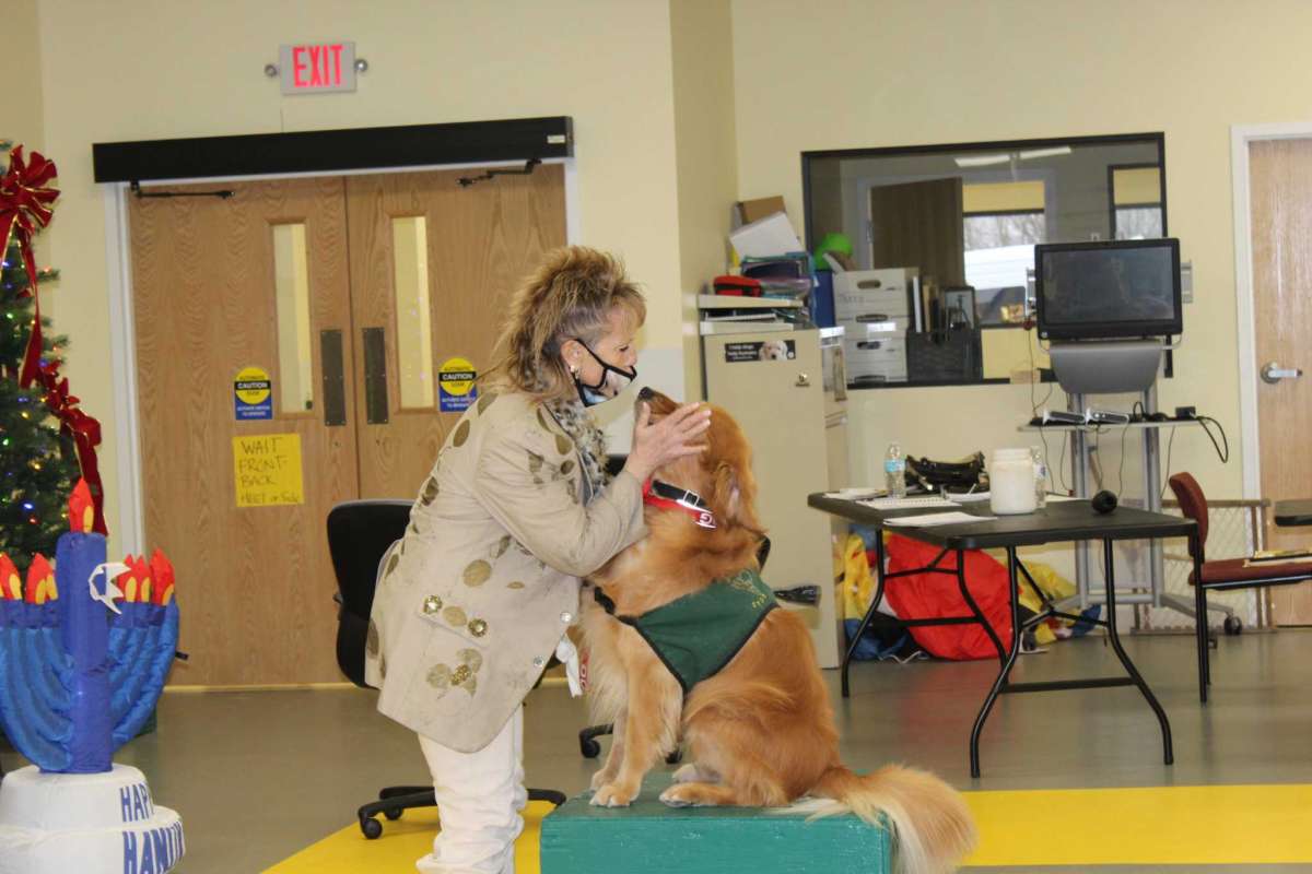 Service Dogs WORKING DOG REGISTRY